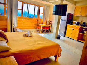 Light and View Wooden Loft